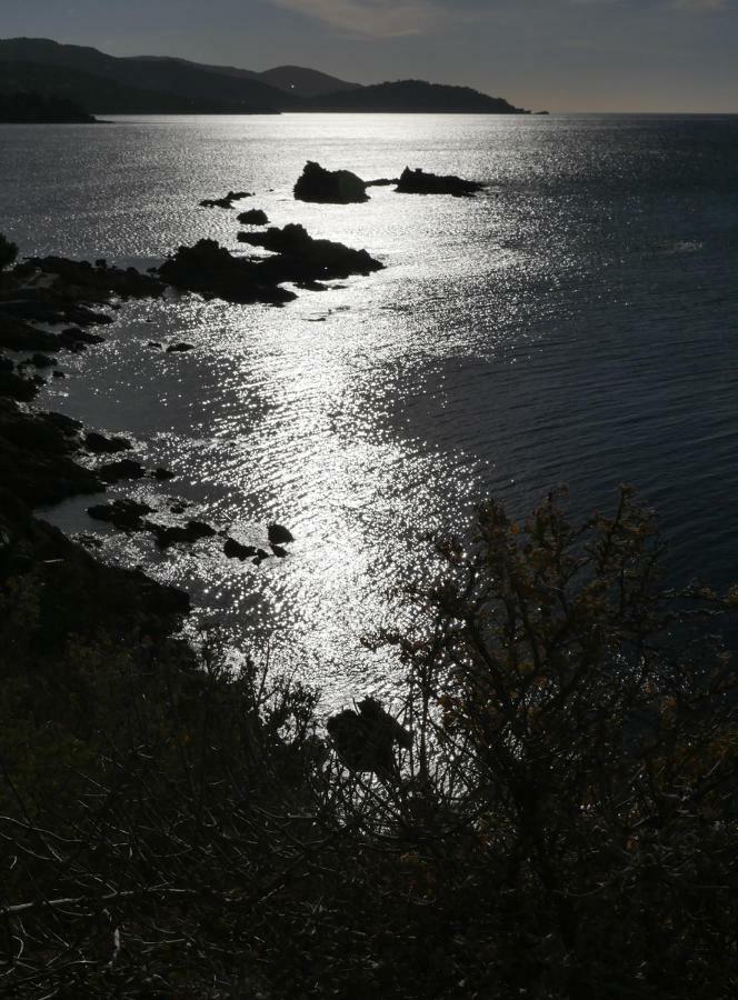 Appartamento Le Verger Des Naiades Le Lavandou